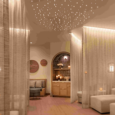 Executive Membership